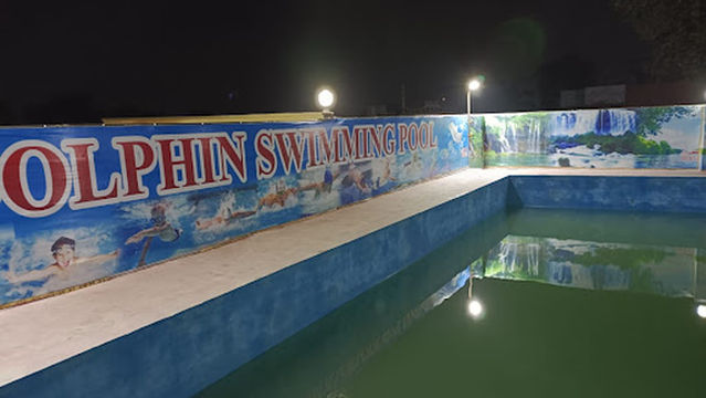 Dolphin Swimming Pool