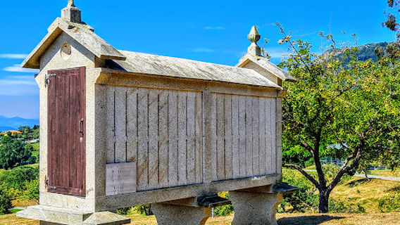 Purificación Tomás Park