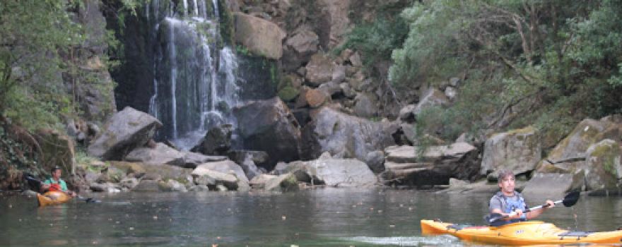 picnic area