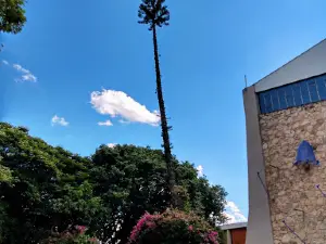 Santuario Sao Manoel