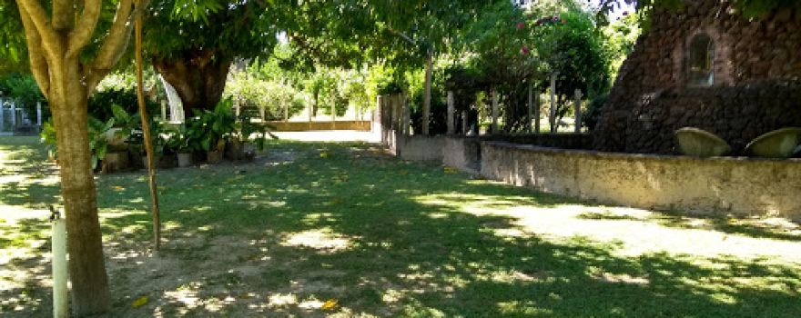 Museu Antônio Conrado
