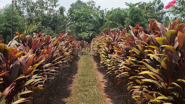 Danau buatan jaya bakti