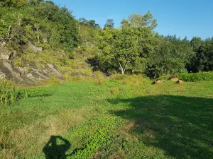 First water point S2C