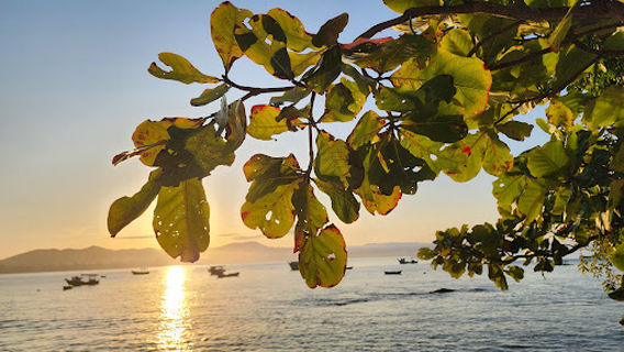 Praia do Araçá
