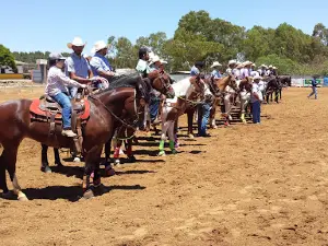 Parque De Exposições De Cristalina-GO