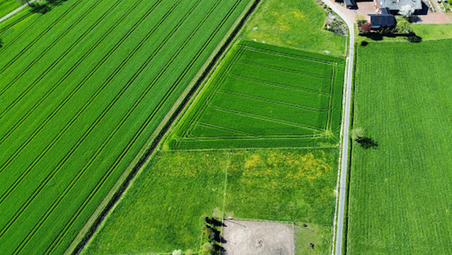 Reit- u. Fahrverein Vörden e.V.