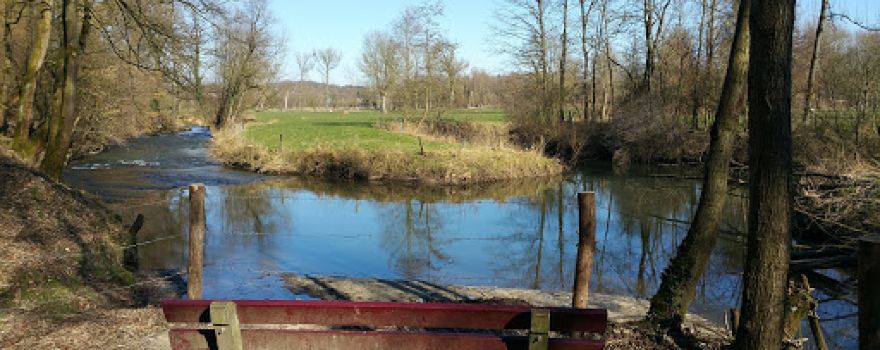 Camping De Gele Anemoon