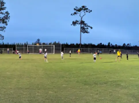 ウェイン・サッカー・コンプレックス