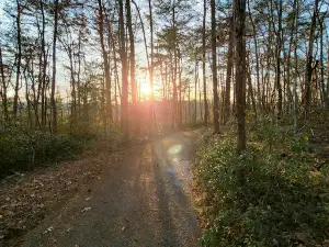 Colorblind Viewfinder: Big South Fork National River & Recreation Area-East Rim Overlook