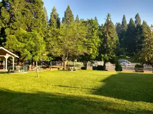 Pine Grove Community Park
