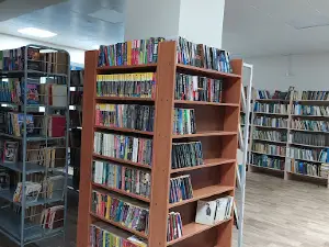 Rayonaya Biblioteka