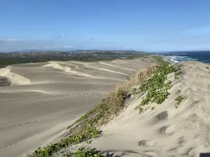 Sigatoka Sand Dunes National Park - Visitor Information Center