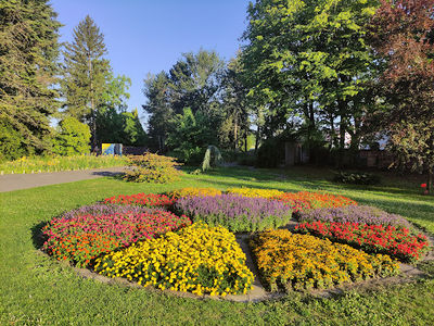 Botanical Garden - Rosarium