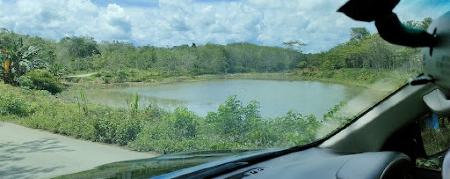 Danau Dozer
