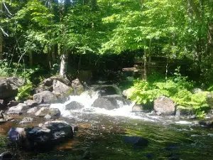 Foster Falls