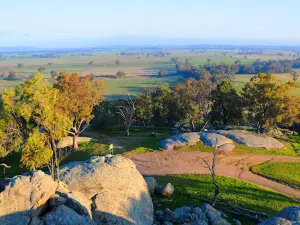 Morgan's Lookout
