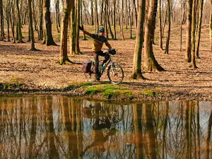 Halumsar Forest Park