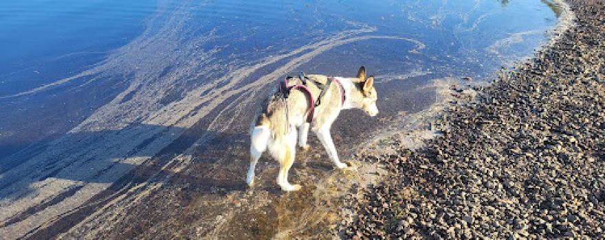 Ställplats Wassara