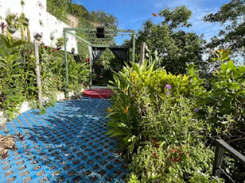 Casa Clementina Tienda Galería