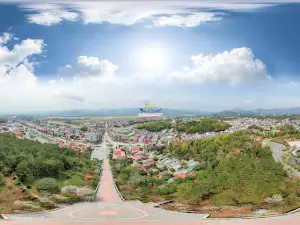 Đồi D1