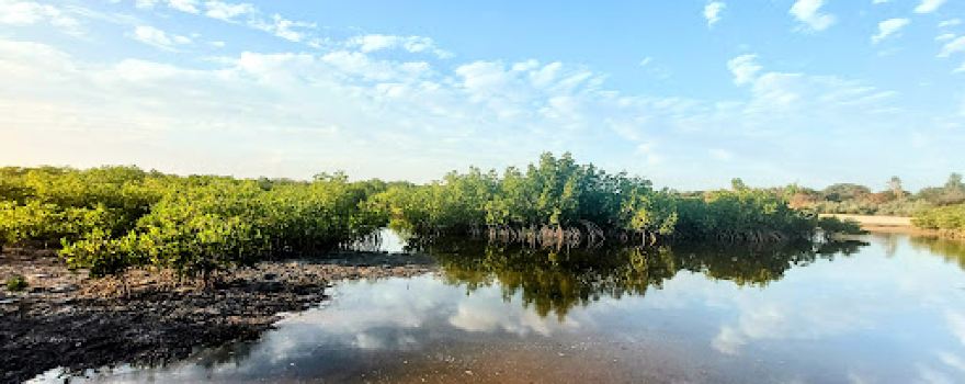 Kanuma River View and Swimming