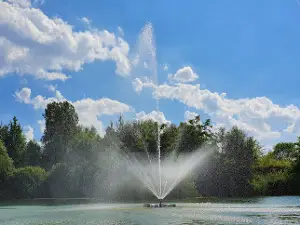 Żwirownia Międzyrzec Podlaski