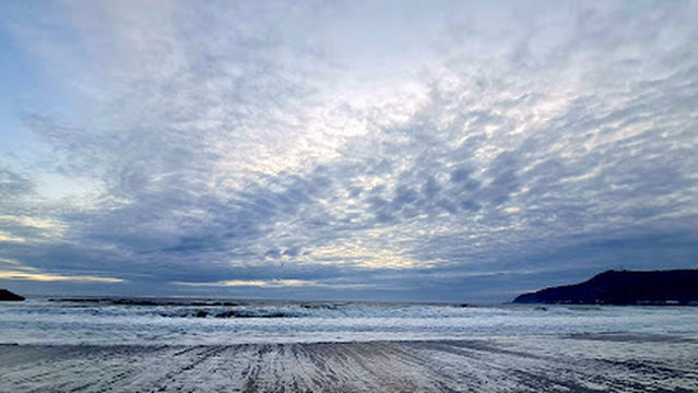 South Burnie Dog Beach