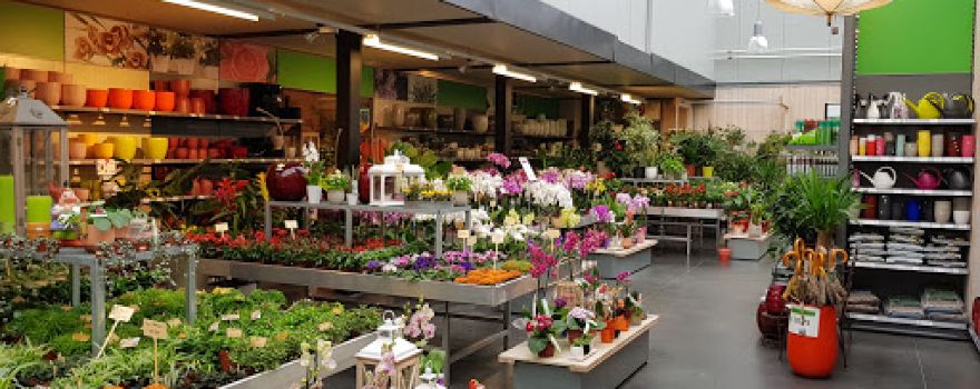 Garden Center Luyckx