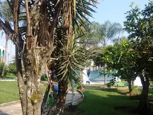 V Centenario Park