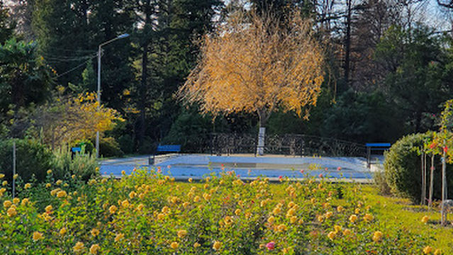 Chapel carved old oak tree