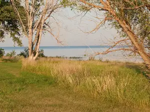 Douglas Creek
