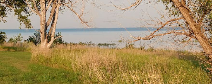 Douglas Creek