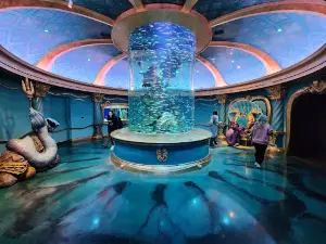 Aquarium at the Boardwalk