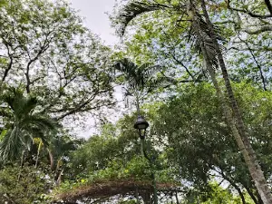 Municipal de Tello Park