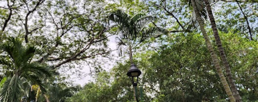 Municipal de Tello Park
