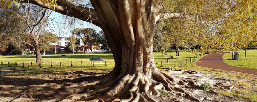 Charles Veryard Reserve