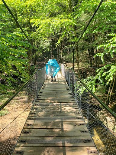 Cook Forest Swinging Bridge