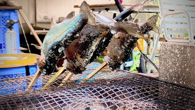 飛騨高山釣り＆キャンプ 鱒蔵