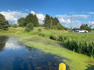 Lake La Su An Wildlife Area