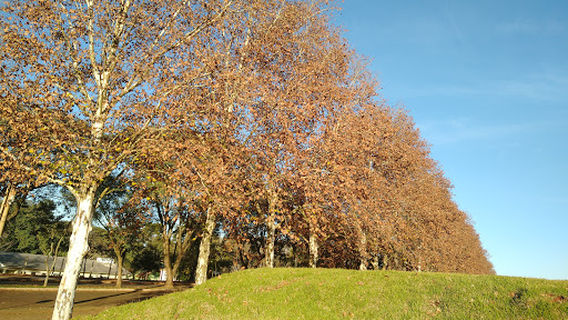 Parque Municipal de Exposições