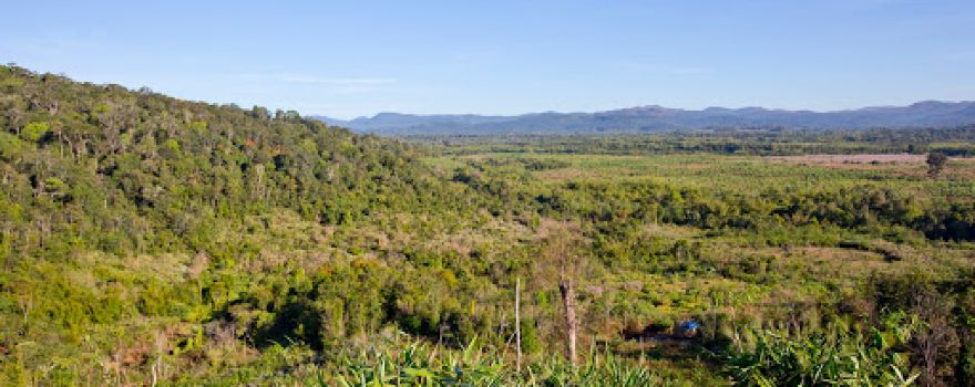 Bolaven Plain Laos