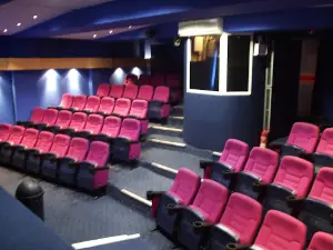 Cine Pallas Ltd