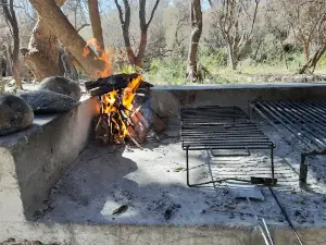 Camping El Bosquecillo