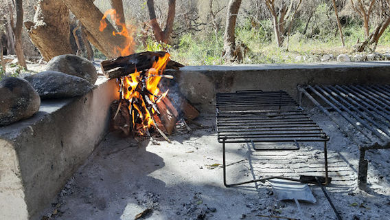 Camping El Bosquecillo
