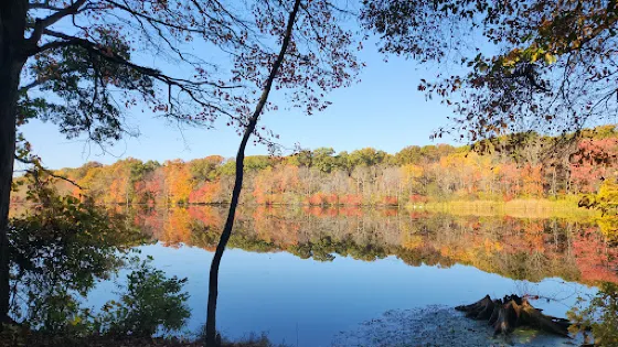 Gammino Pond Preserve
