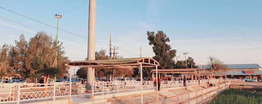 Park Fish Market