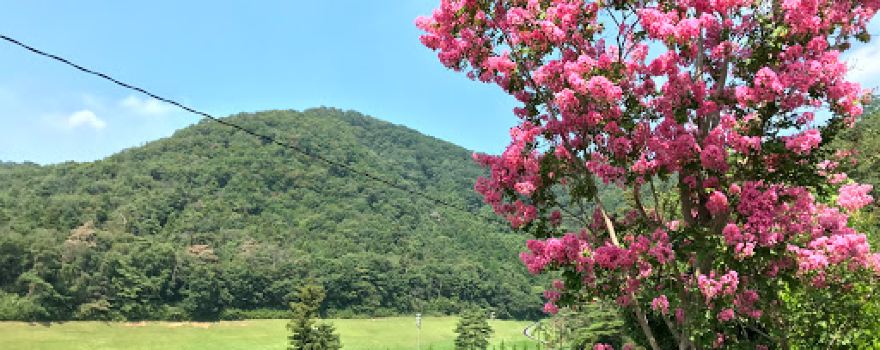 Sano Golf Club