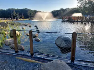 Hill Picnic Area