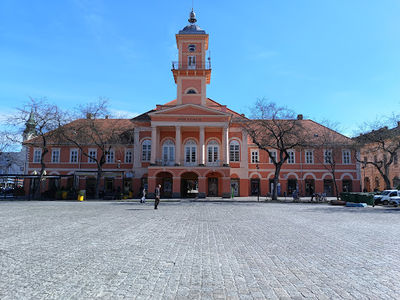 Bald square