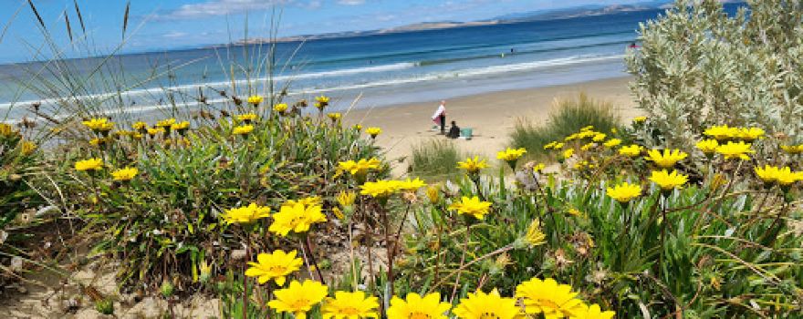 Carlton Park SLSC
